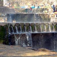 گردشگاه بابا امان
